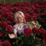 «Півонії» — новий сингл Галини Лукашонок, що дарує тепло й світло «Півонії» — новий сингл Галини Лукашонок, що дарує тепло й світло